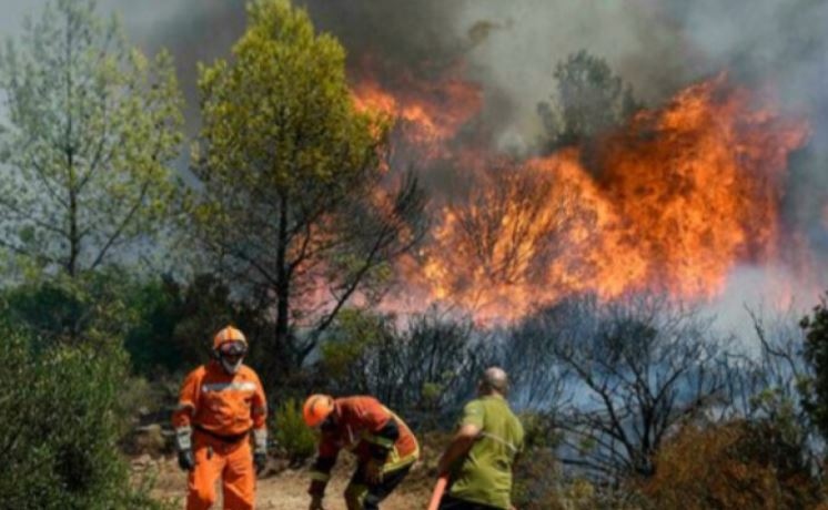 Пожарът над родопското село Югово се е разраснал тази нощ